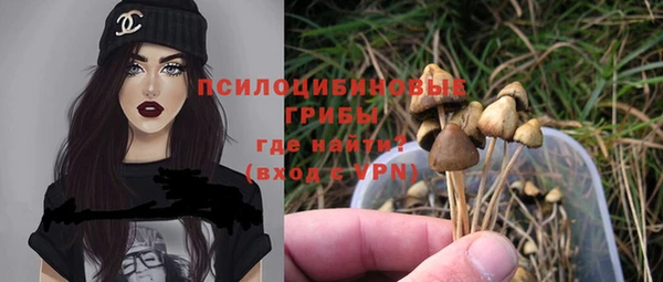 амфетамин Белокуриха