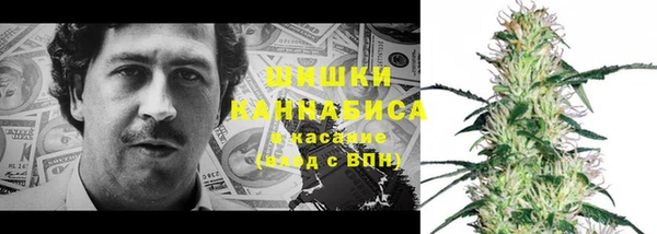 амфетамин Белокуриха