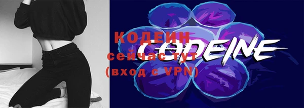 стаф Белоозёрский