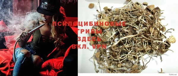 марки nbome Тайга