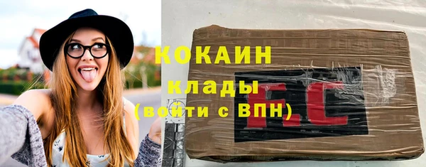амф Тавда