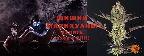 стаф Белоозёрский