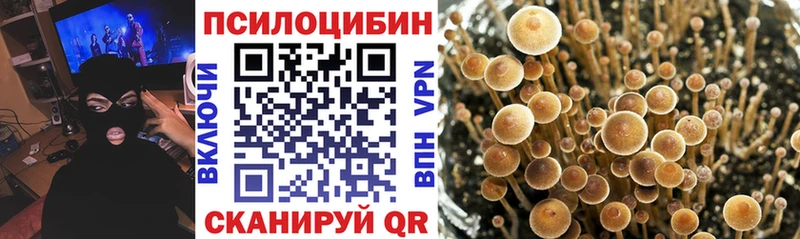 Псилоцибиновые грибы мицелий  сколько стоит  Кумертау 